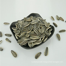 Supply all kinds of hybrid Sunflower seed 5009/3638/3939/1121/363